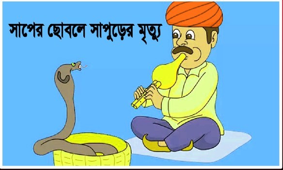 খেলা দেখাতে গিয়ে সাপের ছোবলে সাপুড়ের মৃত্যু